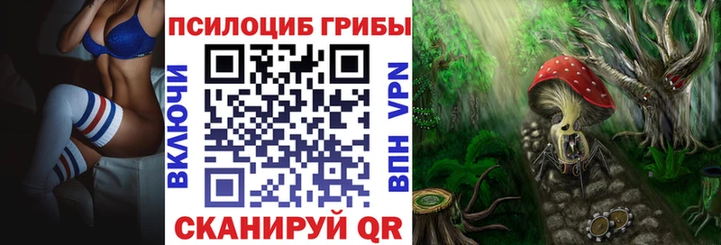 Псилоцибиновые грибы Cubensis  купить наркотик  Кизилюрт 